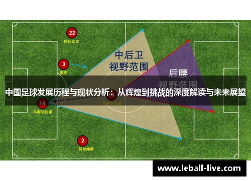 中国足球发展历程与现状分析：从辉煌到挑战的深度解读与未来展望